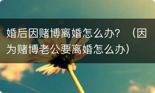 婚后因赌博离婚怎么办？（因为赌博老公要离婚怎么办）