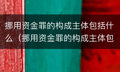 挪用资金罪的构成主体包括什么（挪用资金罪的构成主体包括什么）