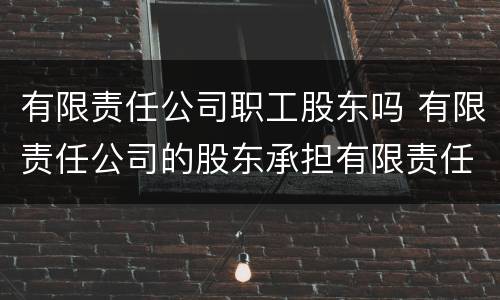 有限责任公司职工股东吗 有限责任公司的股东承担有限责任吗?