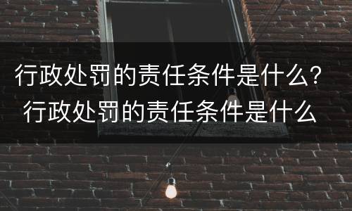 行政处罚的责任条件是什么？ 行政处罚的责任条件是什么