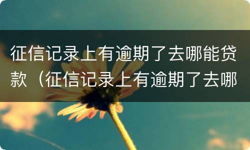 征信记录上有逾期了去哪能贷款（征信记录上有逾期了去哪能贷款啊）