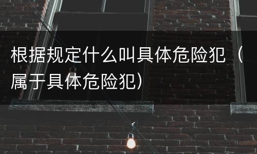 根据规定什么叫具体危险犯（属于具体危险犯）