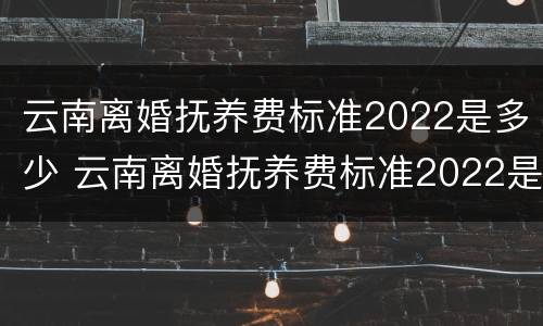 云南离婚抚养费标准2022是多少 云南离婚抚养费标准2022是多少呢