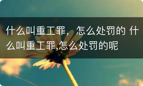 什么叫重工罪，怎么处罚的 什么叫重工罪,怎么处罚的呢