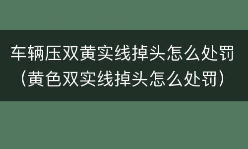 车辆压双黄实线掉头怎么处罚（黄色双实线掉头怎么处罚）