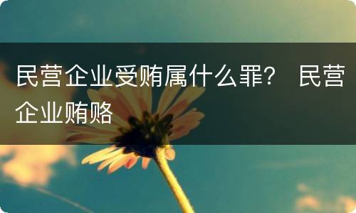 民营企业受贿属什么罪？ 民营企业贿赂