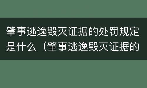 肇事逃逸毁灭证据的处罚规定是什么（肇事逃逸毁灭证据的处罚规定是什么意思）