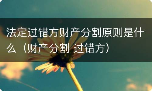 法定过错方财产分割原则是什么（财产分割 过错方）