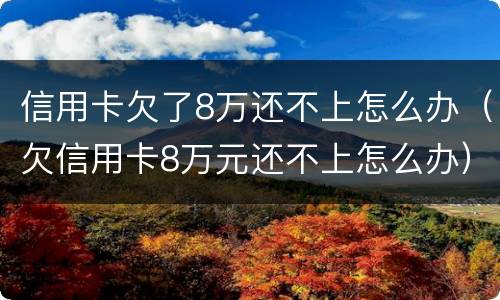 信用卡欠了8万还不上怎么办（欠信用卡8万元还不上怎么办）