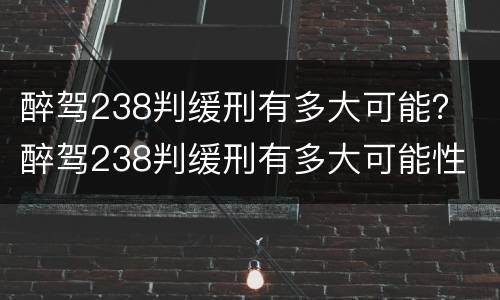 醉驾238判缓刑有多大可能？ 醉驾238判缓刑有多大可能性