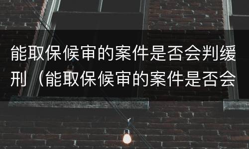 能取保候审的案件是否会判缓刑（能取保候审的案件是否会判缓刑呢）