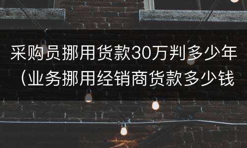 采购员挪用货款30万判多少年（业务挪用经销商货款多少钱可以判罪）