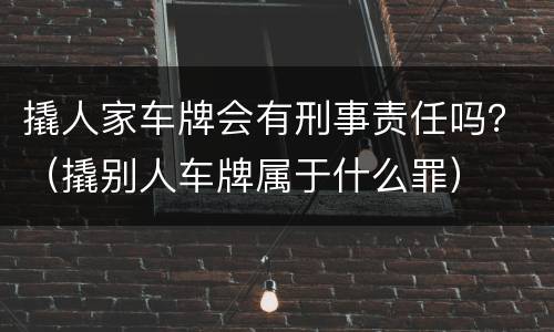 撬人家车牌会有刑事责任吗？（撬别人车牌属于什么罪）