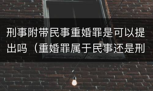 刑事附带民事重婚罪是可以提出吗（重婚罪属于民事还是刑事）