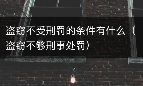 盗窃不受刑罚的条件有什么（盗窃不够刑事处罚）