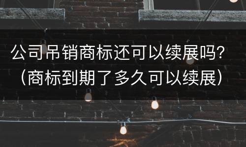 公司吊销商标还可以续展吗？（商标到期了多久可以续展）