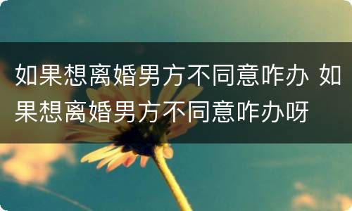 如果想离婚男方不同意咋办 如果想离婚男方不同意咋办呀