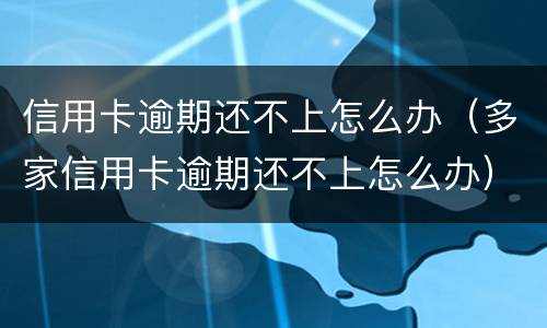 信用卡逾期还不上怎么办（多家信用卡逾期还不上怎么办）