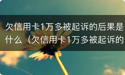 欠信用卡1万多被起诉的后果是什么（欠信用卡1万多被起诉的后果是什么意思）