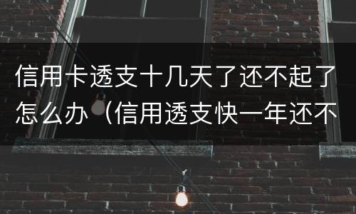 信用卡透支十几天了还不起了怎么办（信用透支快一年还不上怎么办）