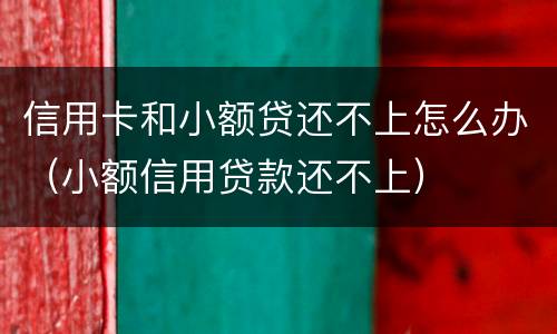 信用卡和小额贷还不上怎么办（小额信用贷款还不上）