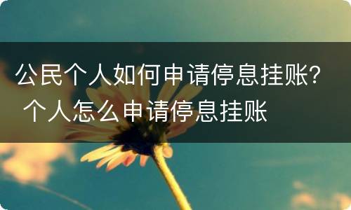 公民个人如何申请停息挂账？ 个人怎么申请停息挂账