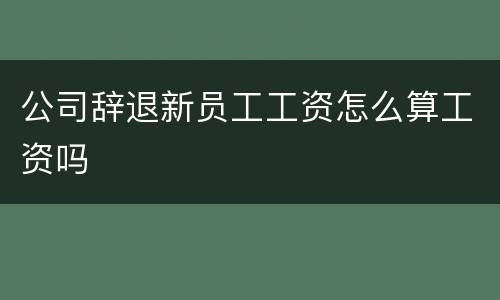 公司辞退新员工工资怎么算工资吗
