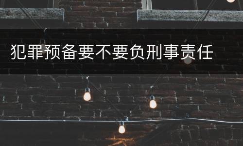 犯罪预备要不要负刑事责任