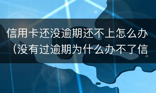 信用卡还没逾期还不上怎么办（没有过逾期为什么办不了信用卡）