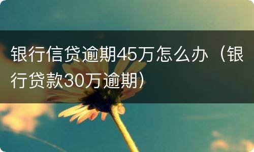 银行信贷逾期45万怎么办（银行贷款30万逾期）
