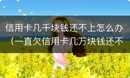 信用卡几千块钱还不上怎么办（一直欠信用卡几万块钱还不上怎么办）
