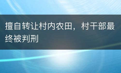 擅自转让村内农田，村干部最终被判刑