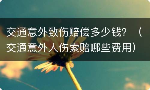 交通意外致伤赔偿多少钱？（交通意外人伤索赔哪些费用）