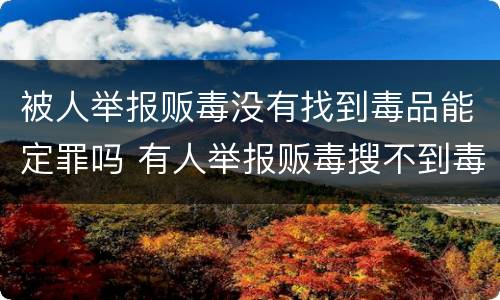 被人举报贩毒没有找到毒品能定罪吗 有人举报贩毒搜不到毒品能定罪吗