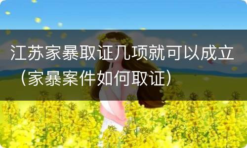 江苏家暴取证几项就可以成立（家暴案件如何取证）