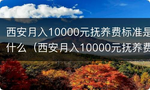 西安月入10000元抚养费标准是什么（西安月入10000元抚养费标准是什么呢）