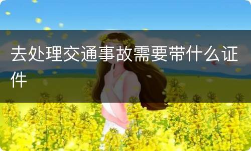 去处理交通事故需要带什么证件