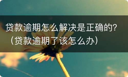 贷款逾期怎么解决是正确的？（贷款逾期了该怎么办）