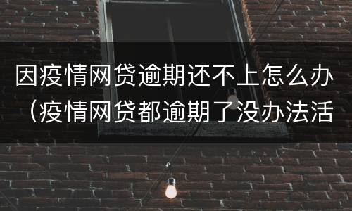 因疫情网贷逾期还不上怎么办（疫情网贷都逾期了没办法活了）