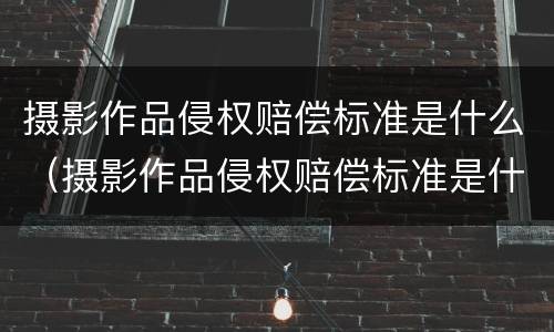 摄影作品侵权赔偿标准是什么（摄影作品侵权赔偿标准是什么样的）