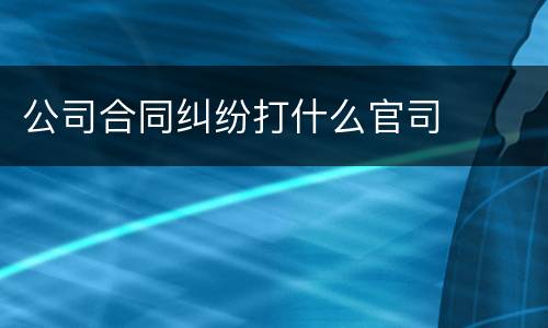 公司合同纠纷打什么官司
