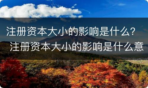 注册资本大小的影响是什么？ 注册资本大小的影响是什么意思