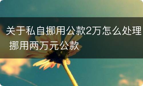 关于私自挪用公款2万怎么处理 挪用两万元公款