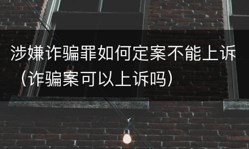 涉嫌诈骗罪如何定案不能上诉（诈骗案可以上诉吗）