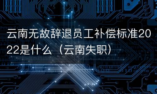 云南无故辞退员工补偿标准2022是什么（云南失职）