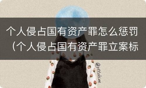 个人侵占国有资产罪怎么惩罚（个人侵占国有资产罪立案标准）