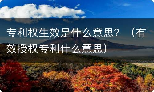 专利权生效是什么意思？（有效授权专利什么意思）