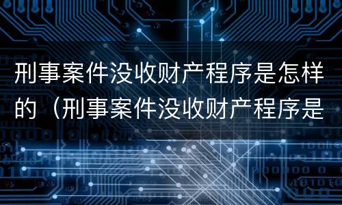 刑事案件没收财产程序是怎样的（刑事案件没收财产程序是怎样的案例）