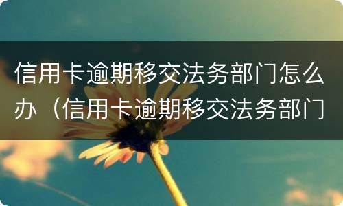 信用卡逾期移交法务部门怎么办（信用卡逾期移交法务部门怎么办理）