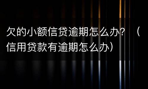 欠的小额信贷逾期怎么办？（信用贷款有逾期怎么办）
